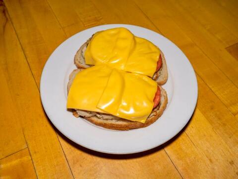 TUNA MELT